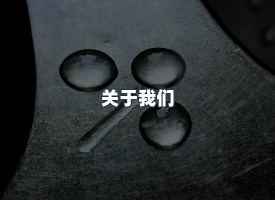 关于我们